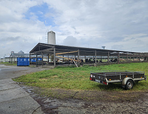 Výměna střešní krytiny na farmě